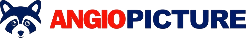 ANGIOPICTURE